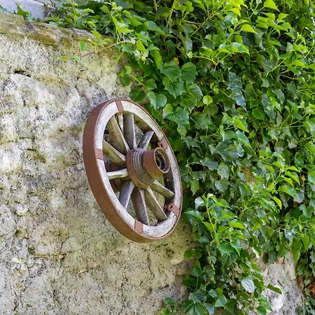 Pacher אוברוולאך